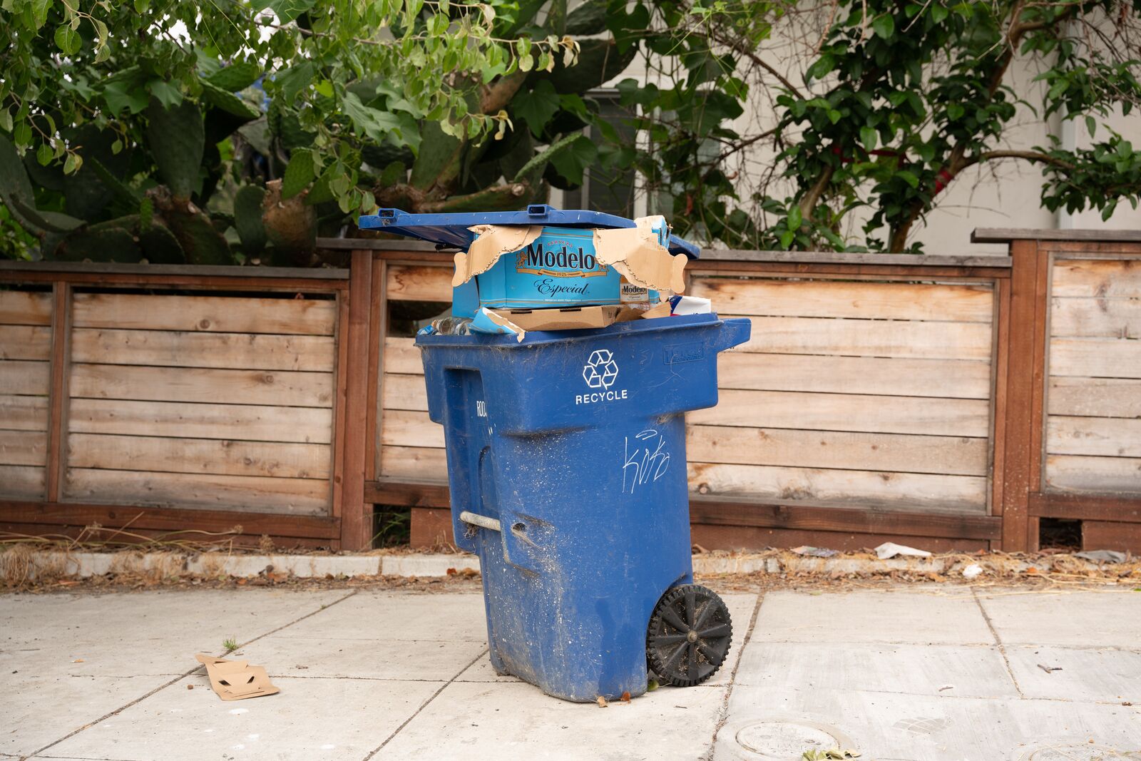 An overflowing recycling bin on the curb.