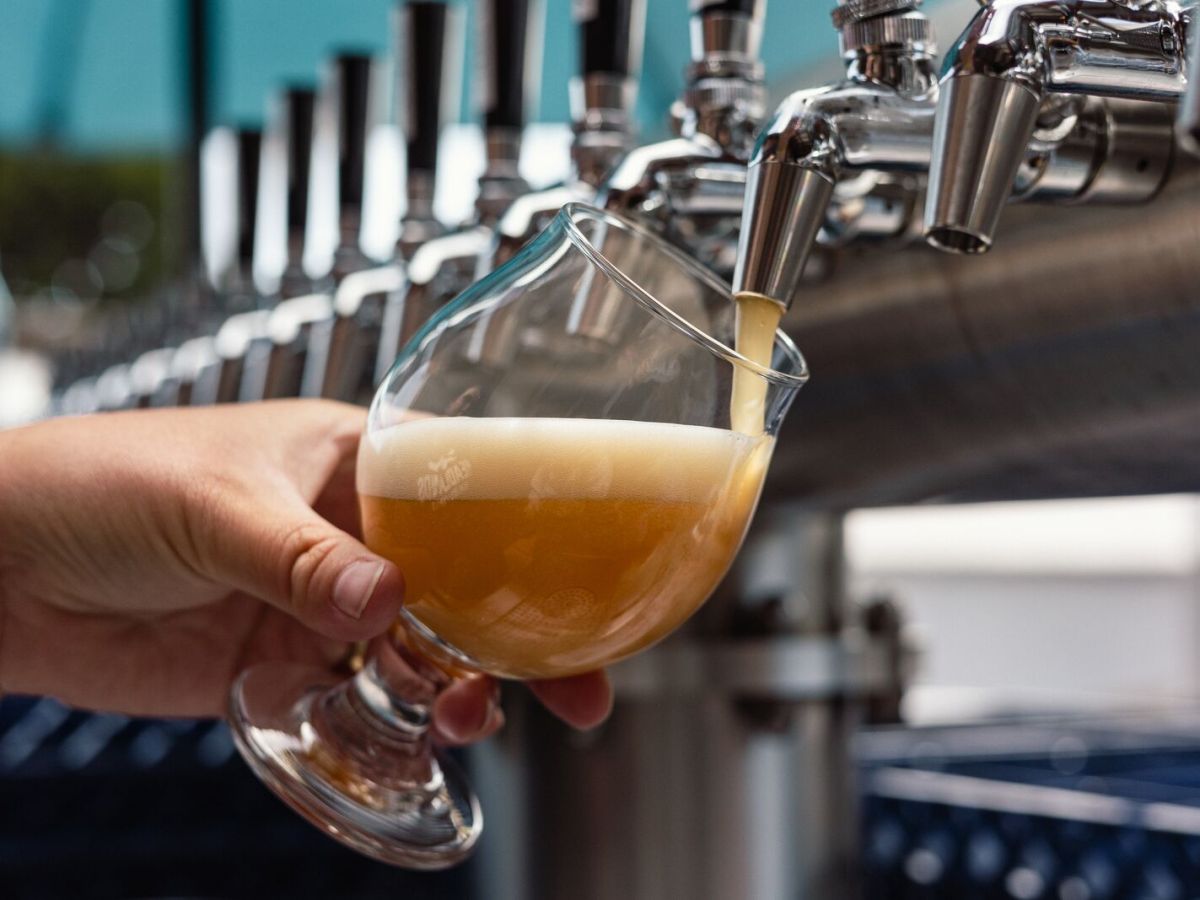 Exclusive: New Berkeley beer garden from Headlands Brewing ready to start its taps