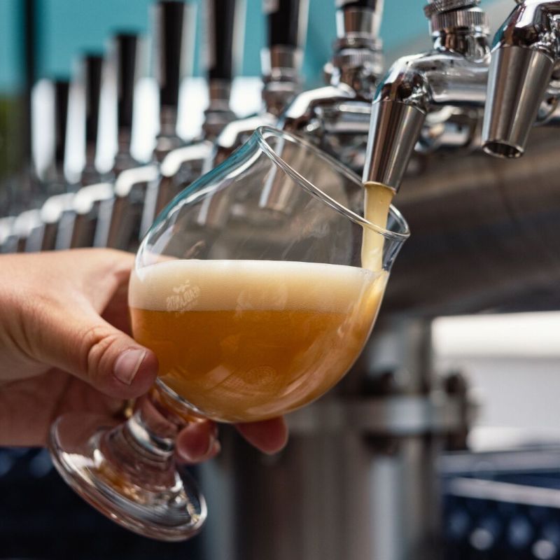 Exclusive: New Berkeley beer garden from Headlands Brewing ready to start its taps