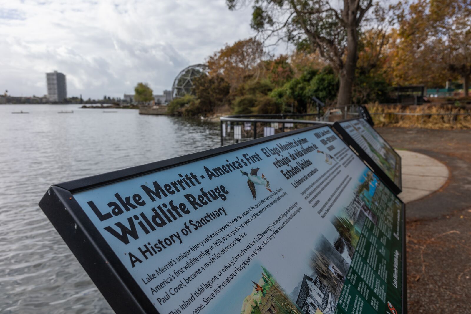 Rotary Nature Center Legacy 11